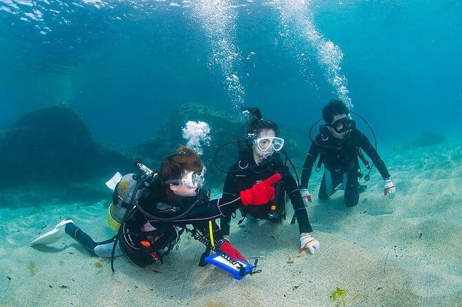 Scuba Diving in Yakushima island (for certified divers only) - The Experience of the Guides