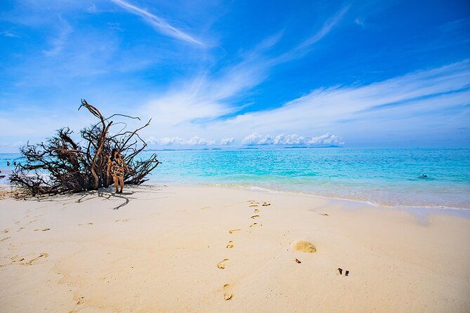 Sea Breeze Calm You On Phi Phi Islands Tour From Krabi - Who Will Love This Tour?