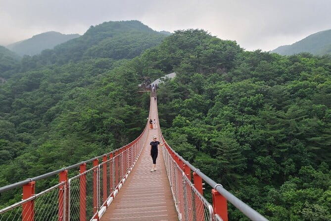 Seoul Beauty & Beyond Tour - Additional Insights from Reviews