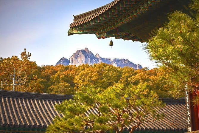 Seoul City Night View tour / Small Group / 8 Max - Authentic Insights from Reviewers