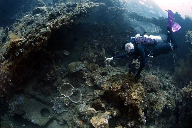 Shipwreck Diving in Tulamben - Frequently Asked Questions