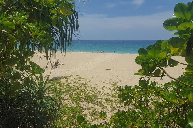 Shoreline Cruise and Secluded Beach - FAQs