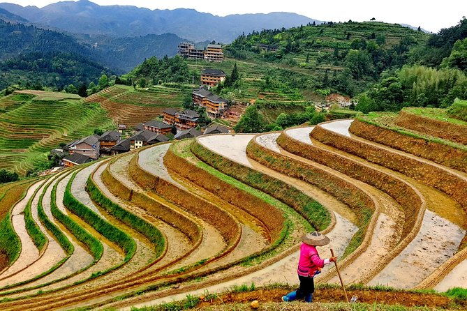 Short Li-River cruise and Longji Rice Terraces Private Day Tour - Authentic Experiences: What Reviewers Say