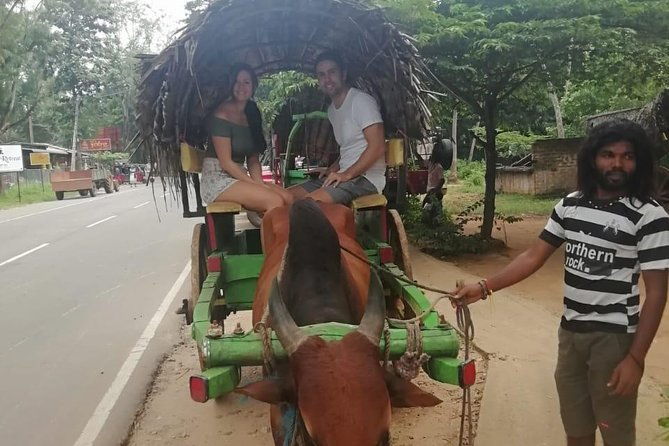 Sigiriya city tour from Negombo & Colombo with traditional Lunch. - What’s Included and What’s Not?  