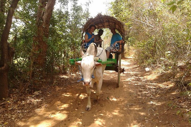 Sigiriya Day Tour - Dambulla Cave Temple - Who Would Enjoy This Tour?