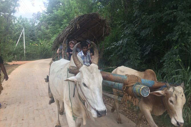 Sigiriya Day Trip with Experts - Who Is This Tour Best For?