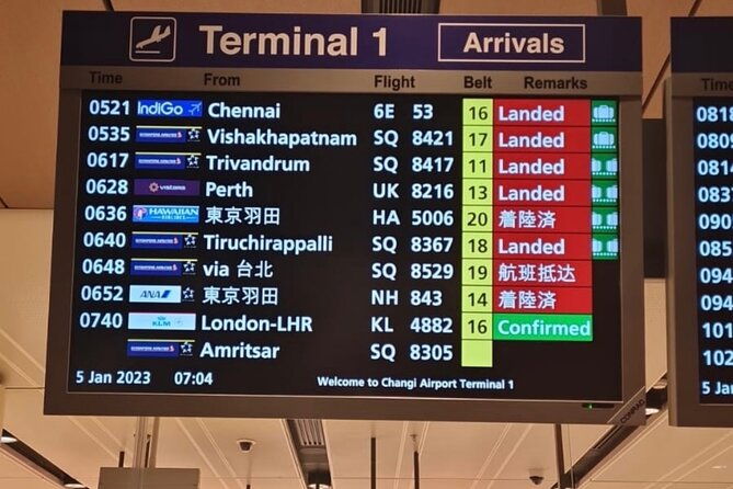 Singapore: Airport/Seaport Arrival Transfer + Meet & Greet - Who Is This Service Best For?