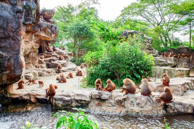 Singapore Zoo - Frequently Asked Questions