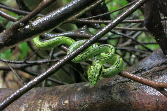 Sinharaja Rainforest Trip - Frequently Asked Questions