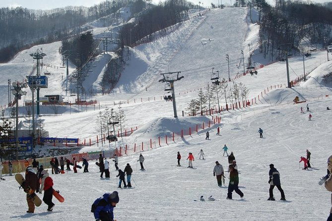 Ski Tour to Jisan Ski Resort from Seoul - FAQs