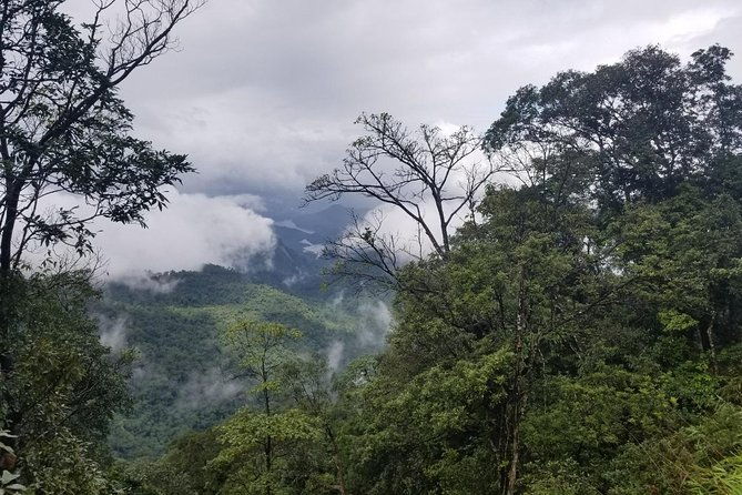 Small Group - Bach Ma National Park Trekking Tour From Hue - Final Thoughts: Who Will Love This Tour?
