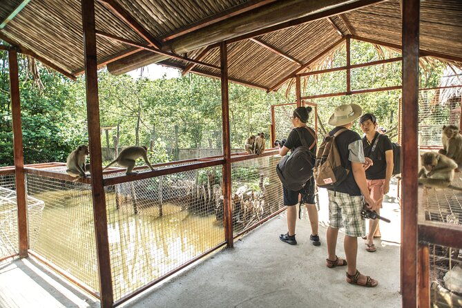 Small-Group Tour to Can Gio Vam Sat Mangrove Forest - Practical Tips for Travelers