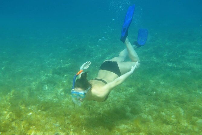 Snorkeling Adventure with East Nusa Penida Tour All Inclusive - Visiting Diamond Beach: Sunbathing and Photography