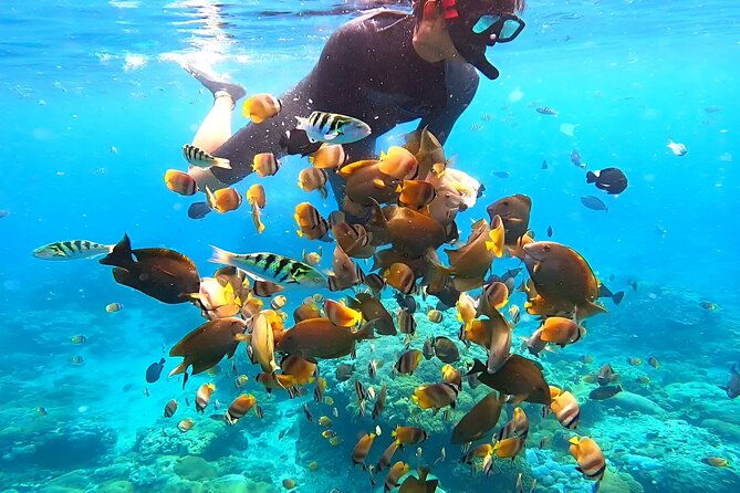 Snorkeling In Nusa Penida Departing From Bali Island - Who Is This Tour Best Suited For?