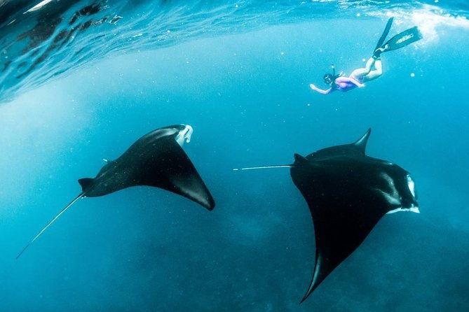 Snorkeling Manta Ray Safari in Nusa Penida - Balancing the Pros and Cons