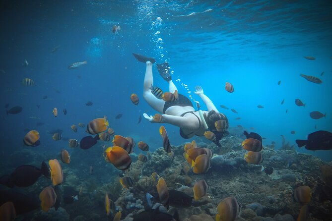 Snorkeling Manta Rays and Land Tour Nusa Penida  All-Included - Frequently Asked Questions