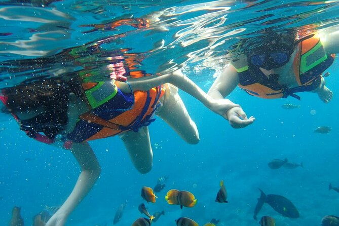 Snorkeling Nusa Penida and Island Tour Package - The Sum Up