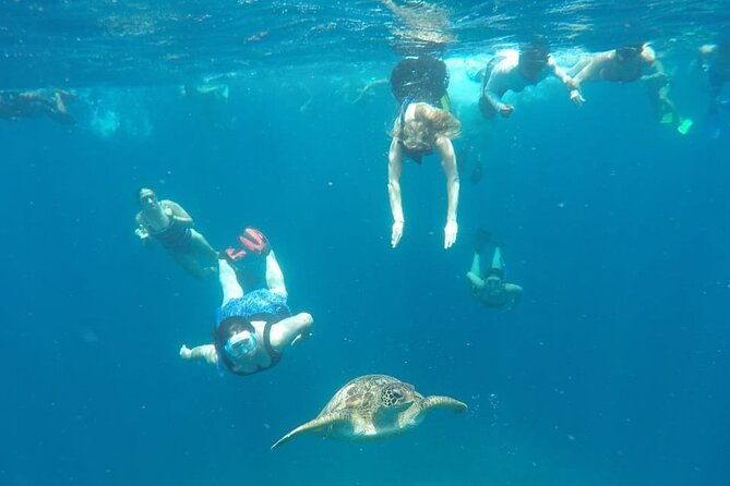 Snorkeling Tour In Gili Trawangan, Gili Meno And Gili Air Pick Up From Bali - Who Is This Tour Best For?