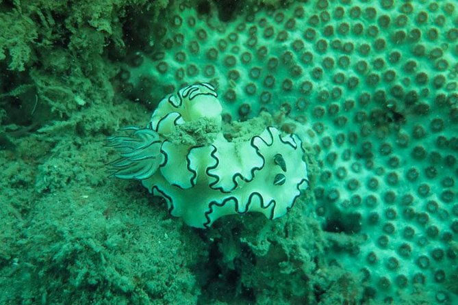 Snorkeling Tour to 4 Islands(Emerald Cave) From Koh Lanta by Speedboat - Is This Tour Right for You?