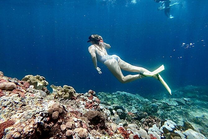 Snorkeling Trips with Manta Ray from Nusa Lembongan - FAQ