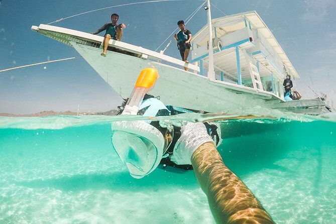 Snorkeling with turtle and statue in Gilis - Pricing and Overall Value