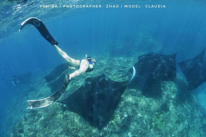 Snorkelling in Nusa Penida - Manta Point - The Return and Overall Experience