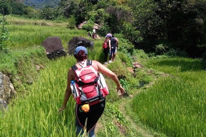 Sri Lanka budget tour package 8 days with driver,vehicle and H/B accommodations. - Frequently Asked Questions (FAQs)