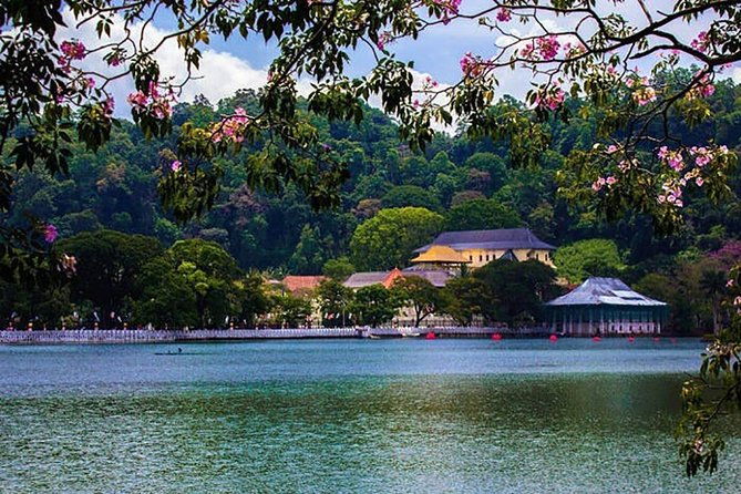 Sri Lanka Tour Packages with English Speaking Driver Guide and Car - Final Thoughts