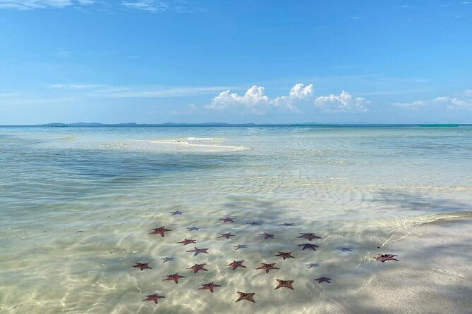 Starfish Beach Trip In Phu Quoc Island - Practical Details and Tips