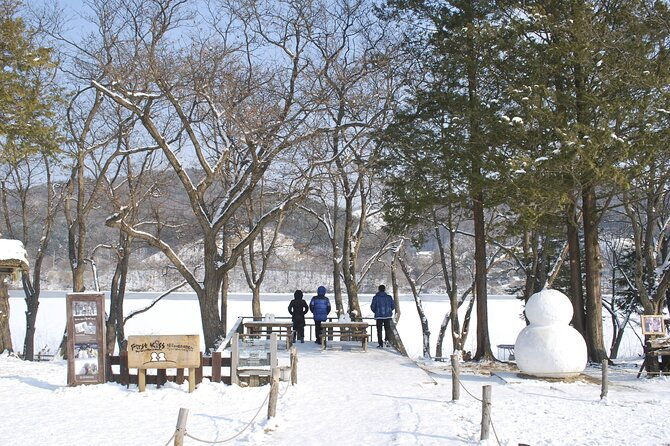 Strawberry & Nami Island & Railbike Trip (+ Opt. Korean Garden) - Authentic Experiences and Hidden Gems