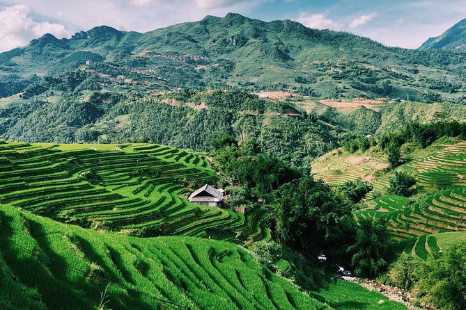 Stunning Terraced Rice Fields on 2-Day Trekking - Who is this Tour Best Suited For?