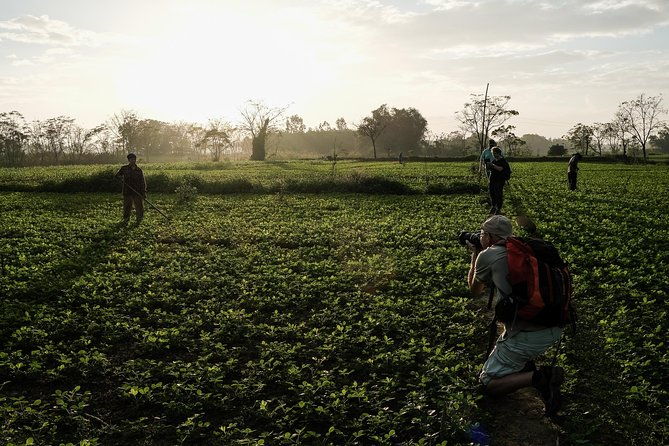 Sunset photo tour with the farmers - Final Thoughts: Is It Worth It?