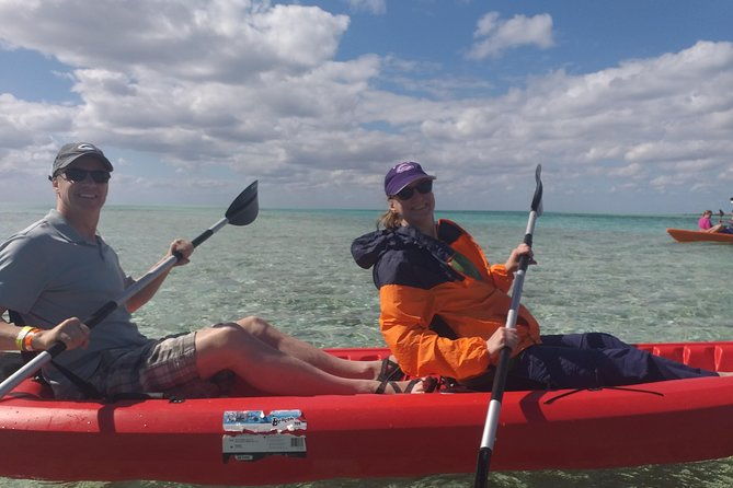 Sweetings Cay Mangrove Kayaking and Turtles - The Sum Up