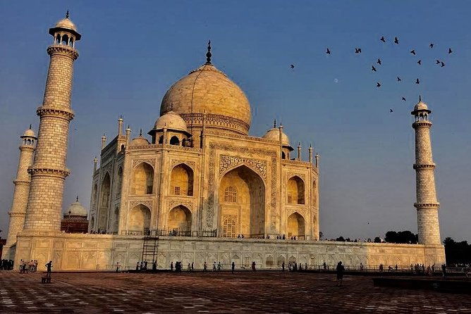 Taj Mahal Tour From Delhi - Final Thoughts: Who Is This Tour Best For?