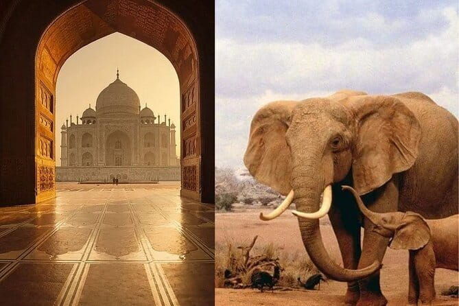 Taj Mahal Tour with Enchanting Elephant Sanctuary Visit - Practical Tips for Making the Most of Your Day