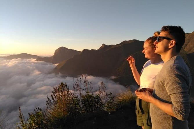 Tea planation walking In Munnar- (by Munnar Info) - Authentic Experiences from Reviewers