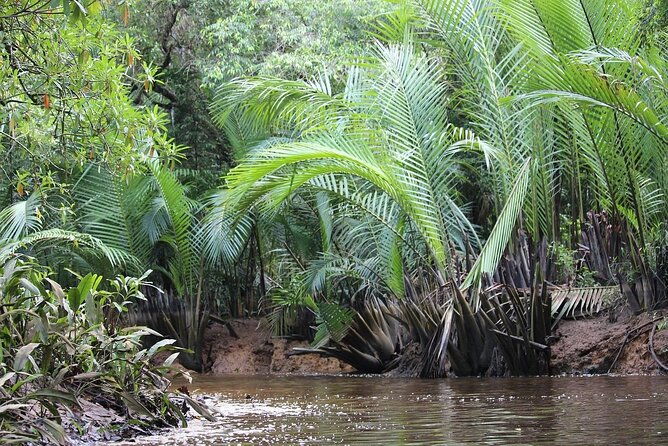 The Little Amazon and Sri Phang Nga Waterfall Full Day Tour From Khao Lak - FAQ
