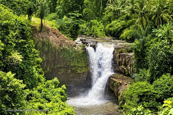Three Main spot Bali Waterfall with Swing - Cost and Value