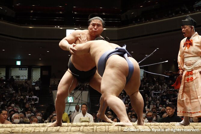 Tokyo Grand Sumo Tournament Viewing Tour with Tickets - Who Would Love This Tour?