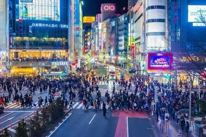 Tokyo Private Chauffeur Tour - Fully Guided - FAQ