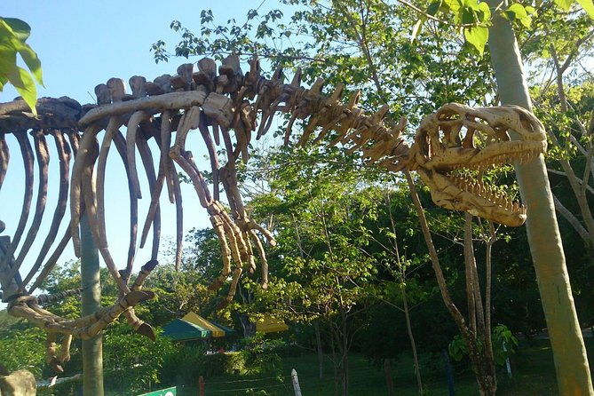 Tour to the Hacienda Nápoles Theme Park - FAQ