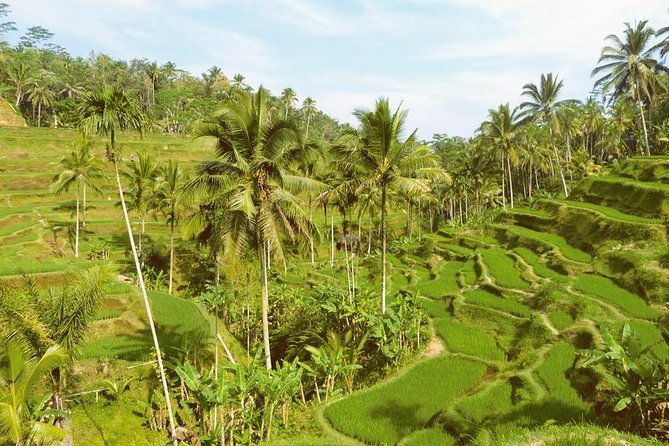 Ubud Combine Mount Batur Kintamani Tour - Final Thoughts