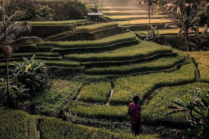 Ubud Customized Full Day Tour - Visit Most favorite In Ubud - The Sum Up
