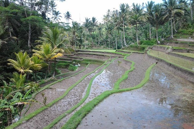 Ubud Customized Private Tour - Final Thoughts