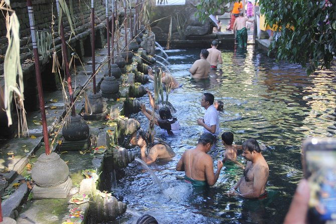 Ubud Day Tour - Top Things to do in Ubud + Local Ubud Guide - The Sum Up