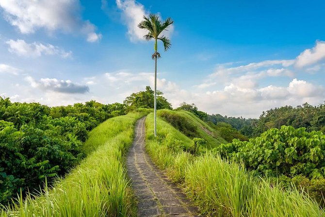 Ubud Instagram Spots Tour - One Day Private Trip - The Sum Up