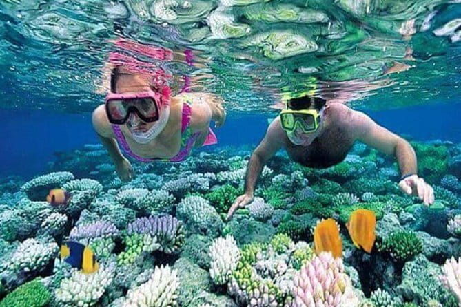 Ubud Kintamani Full Day Tour - FAQ