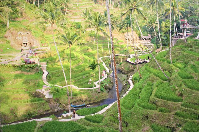 Ubud Private Tour : Ubud Temple and Authentic of Ubud - Who Is This Tour Best For?