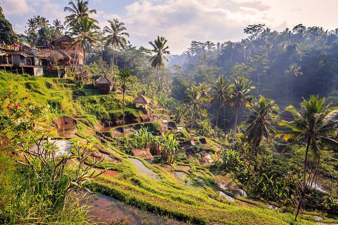 Ubud Small Group Tour: Monkey Forest, Tegalalang Rice Terraces and more - Who Might Want Something Different?