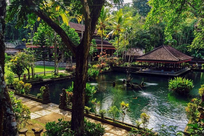 Ubud Top Attractions: Waterfalls, Temples and Rice Terraces - The Sum Up: Who Will Love This Tour?